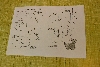 170812_nekor_den5_104.jpg