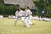 170812_nekor_den5_248.jpg