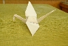 170812_nekor_den5_278.jpg
