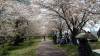 180330_japonsko_010.jpg