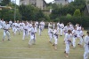 180818_nekor1_005.jpg