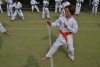 180818_nekor1_036.jpg
