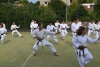180818_nekor1_040.jpg