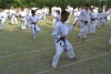 180818_nekor1_043.jpg