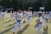 180818_nekor1_050.jpg