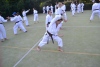 180818_nekor1_076.jpg