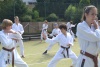180819_nekor2_033.jpg