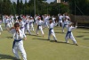 180819_nekor2_087.jpg