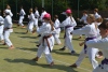 180819_nekor2_092.jpg