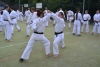 180819_nekor2_152.jpg