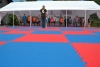180820_nekor3_165.jpg