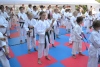180820_nekor3_413.jpg