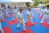 180820_nekor3_435.jpg