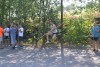 180823_nekor6_126.jpg