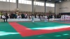 181013_dracek_002.jpg