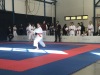 181013_dracek_007.jpg