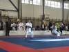 181013_dracek_013.jpg