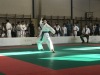 181013_dracek_019.jpg