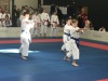 181013_dracek_023.jpg