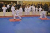 190113_nt_005.jpg