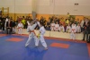 190113_nt_011.jpg