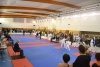 190113_nt_023.jpg