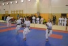 190113_nt_175.jpg