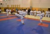 190113_nt_178.jpg