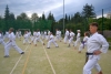 190817_nekor_007.jpg