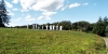 190818_nekor_170.jpg