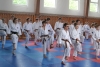 200725_radvanice1_027.jpg