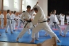 200726_radvanice2_120.jpg