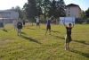 200729_radvanice5_043.jpg