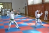 200729_radvanice5_084.jpg