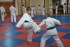 200729_radvanice5_105.jpg