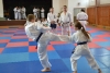 200729_radvanice5_119.jpg