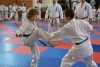 200729_radvanice5_121.jpg
