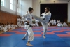 200729_radvanice5_140.jpg