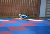 200729_radvanice5_183.jpg