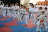 200729_radvanice5_204.jpg