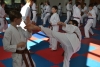 200729_radvanice5_220.jpg