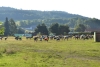 230813_radvanice2_001.jpg