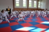 230813_radvanice2_179.jpg