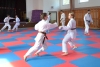 230814_radvanice3_087.jpg