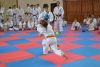 230816_radvanice5_142.jpg