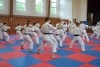 230817_radvanice6_092.jpg