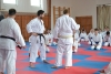 230818_radvanice7_144.jpg
