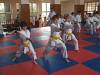 paskovani132.jpg