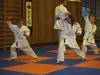 paskovani041.jpg