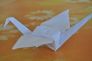 Nekoř 2011 - I.turnus - origami